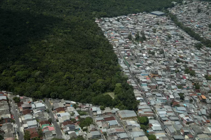 Manaus 356 Anos: O Desafio Entre a Floresta que Resiste e a Cidade que Avança