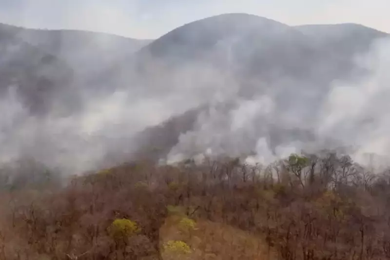 Mato Grosso do Sul em Chamas: Governo Declara Emergência e Mobiliza Forças Contra Queimadas