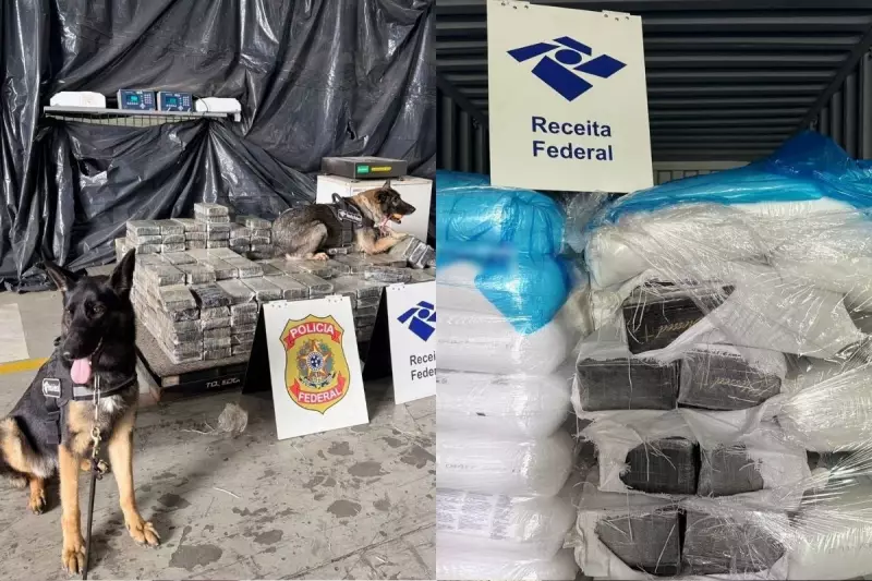 Megaoperação no Porto de Santos: Receita Federal apreende mais de 400 kg de cocaína em contêiner