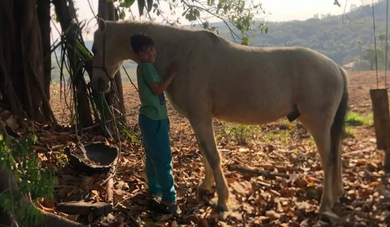 Menino de 9 anos vende cavalo de estimação para realizar sonho de dançar no Bolshoi
