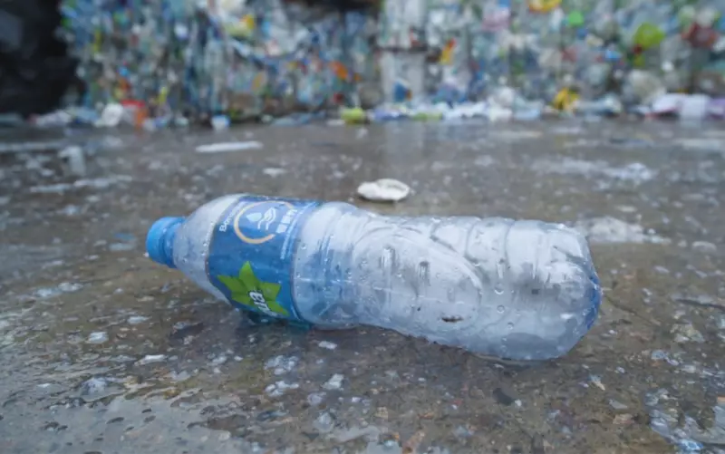 Microplásticos nos Ossos: Pesquisa Revela Nova Ameaça à Saúde Óssea e Risco de Osteoporose