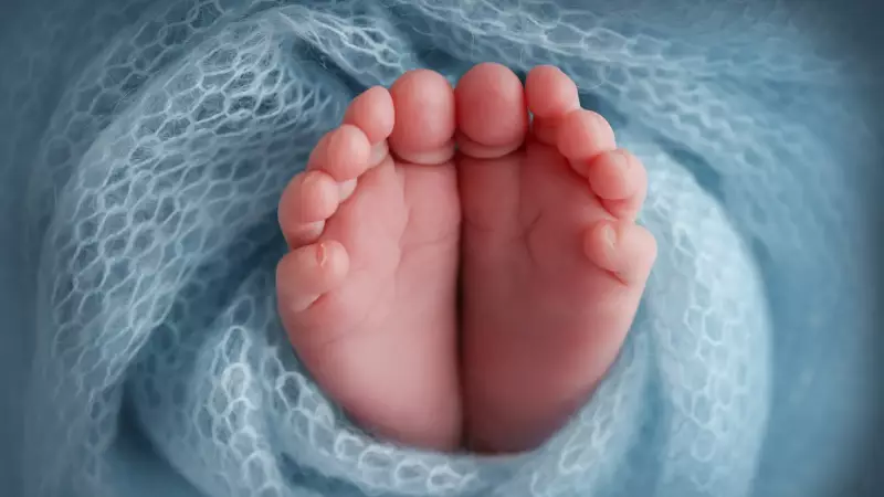 Milagre no Velório: Bebê Prematuro Dado Como Morto Chora Dentro do Caixão e É Salvo