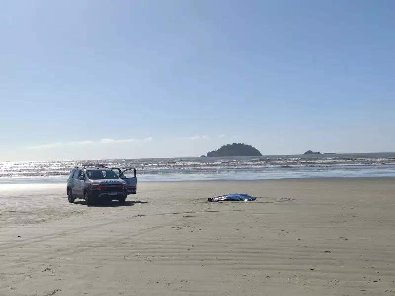 Mistério no Litoral de SP: Homem é Encontrado Morto com Ferimento na Cabeça em Praia de São Vicente