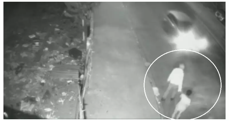 Motorista Embriagado e Sem Habilitação Mata Idosa em Limeira: Marido Fica Gravemente Ferido