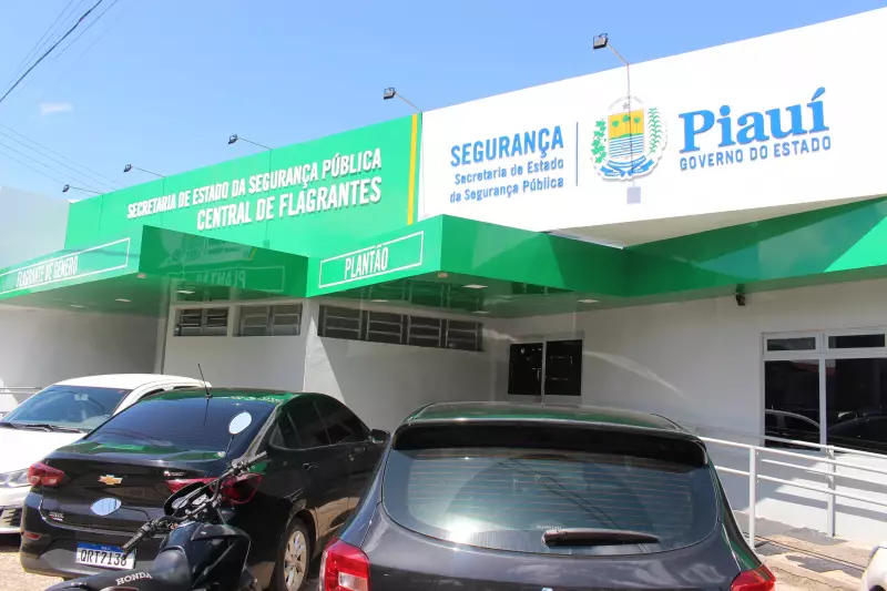 Mulher é presa após ameaçar e desacatar agentes e delegado em Teresina: confira os detalhes