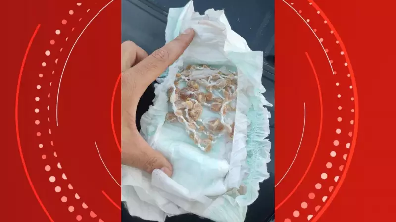 Mulher usa fralda de bebê para esconder drogas durante abordagem policial no ES