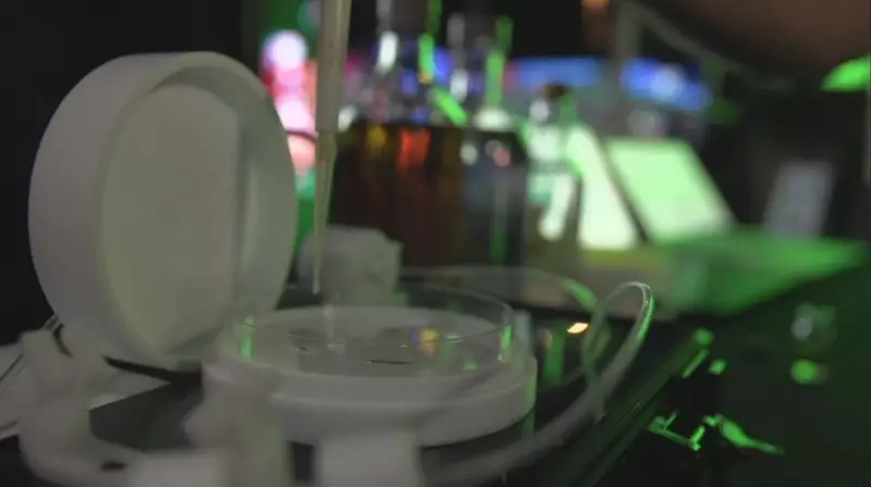 Nariz Eletrônico: Conheça o Dispositivo Brasileiro que Detecta Bebidas Adulteradas em Segundos