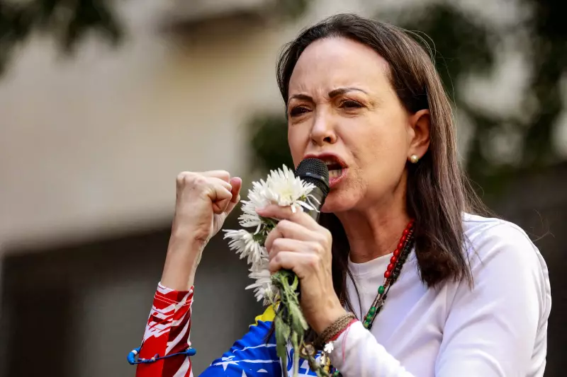Nobel da Paz para Maria Corina Machado gera protesto: entidades norueguesas boicotam cerimônia