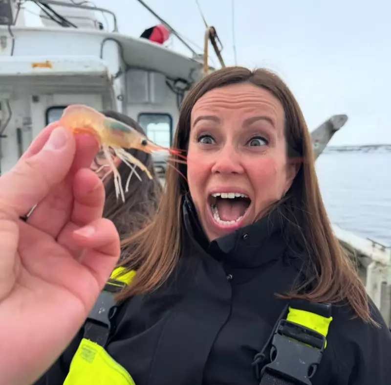 Noruega no Brasil: Ministra desembarca para impulsionar exportação de frutos do mar