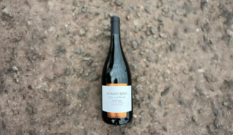 Novo Pinot Noir Argentino Chega ao Brasil: Elegância e Sofisticação em Cada Taça