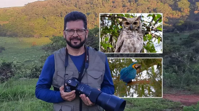 Observação de Aves: Descubra Como Este Hobby Pode Reduzir o Estresse e Reconectar Você com a Natureza