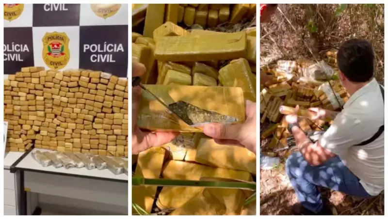 Operação apreende 301 tijolos de maconha paraguaia em fazenda do interior de SP | Vídeo