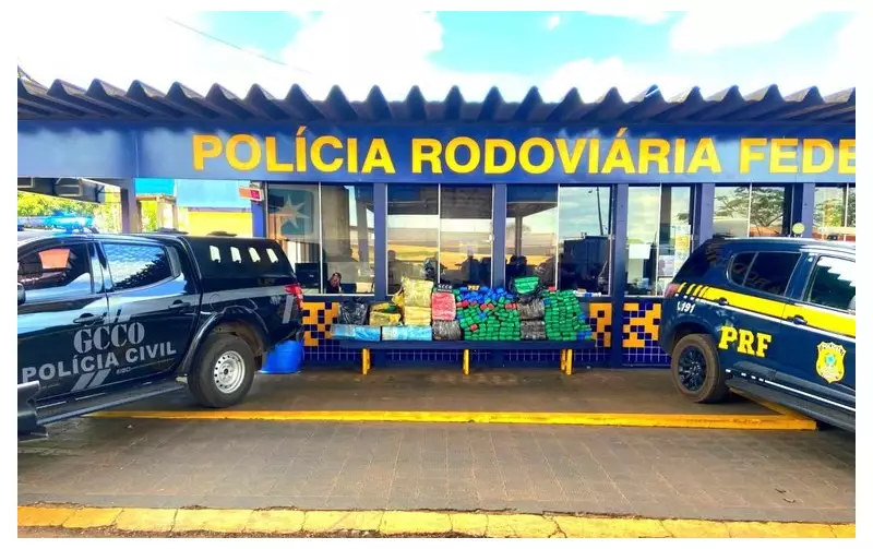 Operação apreende quase meia tonelada de maconha na BR-163 em Mato Grosso; dois presos