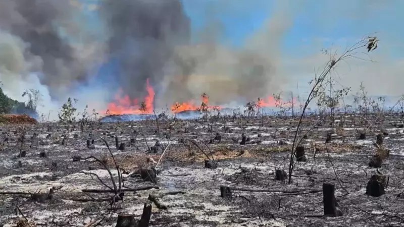 Operação conjunta prende suspeito de incendiar mais de 30 áreas no ES e BA | G1 ES