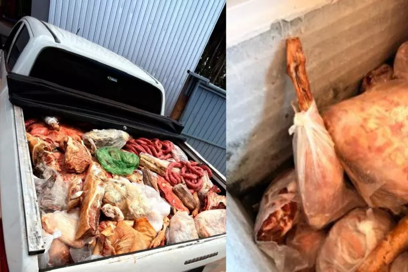 Operação da Polícia apreende quase 1 tonelada de carnes impróprias em Jaraguari, MS