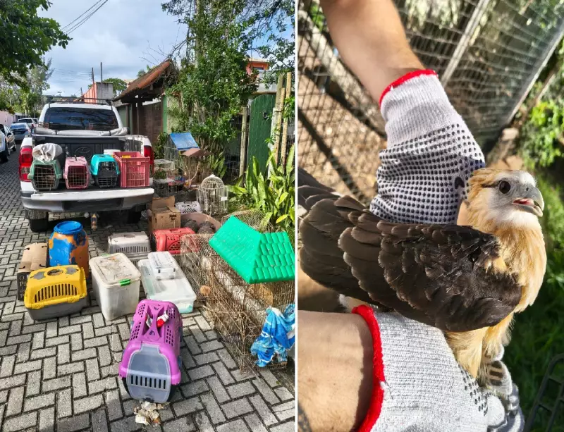 Operação de Resgate em Búzios: Quase 100 Animais Salvos de Instituto Ambiental Irregular