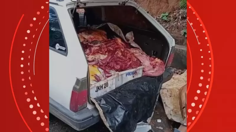 Operação no ES apreende 400 kg de carne de cavalo e desmata cemitério clandestino | G1 ES