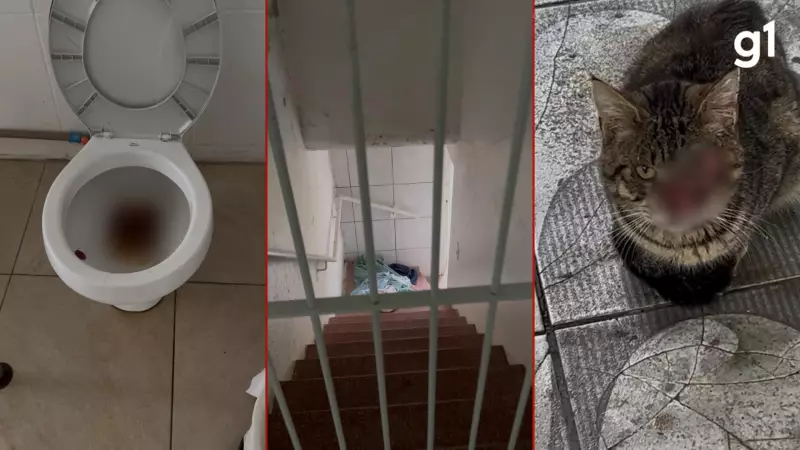 Operação prende responsável por lar de idosos que funcionava irregularmente no RS após denúncia de maus-tratos