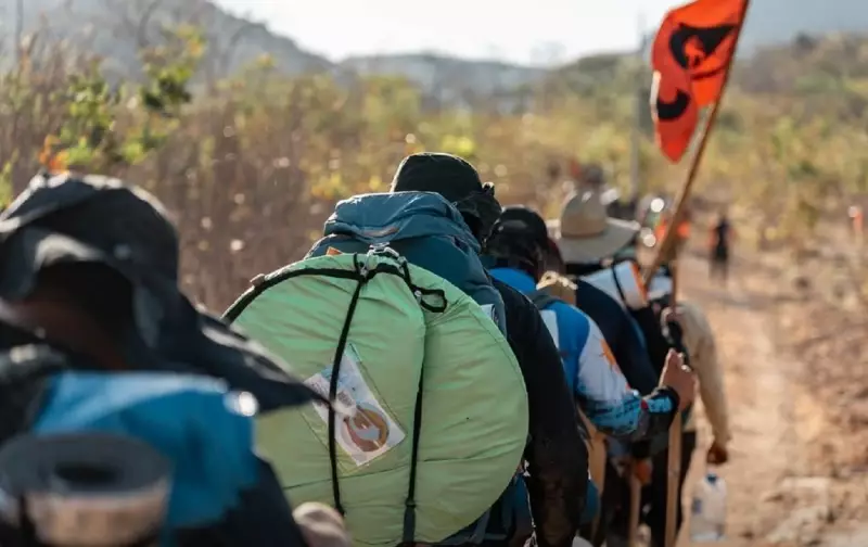 Palmas Agora Tem Data Oficial para Celebrar os Heróis do Esporte: Lei Institui Dia e Semana dos Lendários