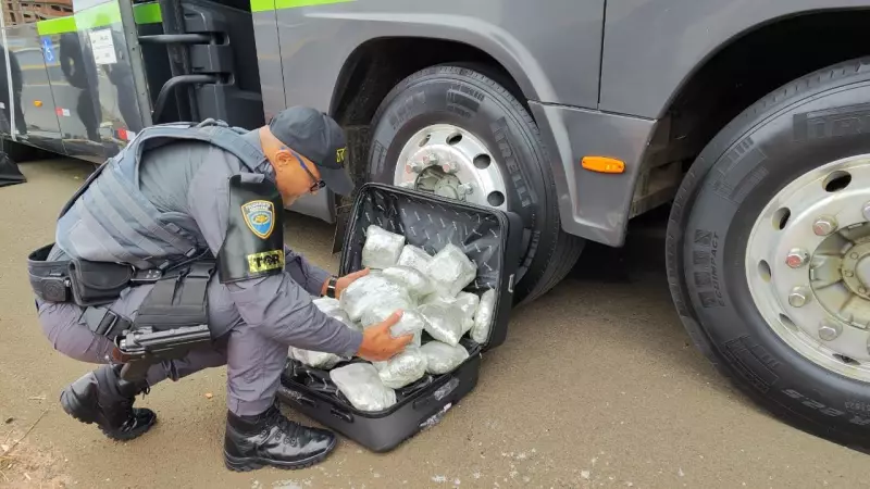 Paraguaio é preso com mais de 40 porções de skunk em ônibus no interior de SP | Droga apreendida