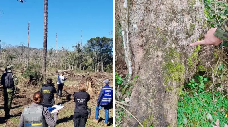 Paraná em Alerta: Multa de R$ 1,2 Milhão por Envenenamento e Corte Ilegal de Árvores Nativas