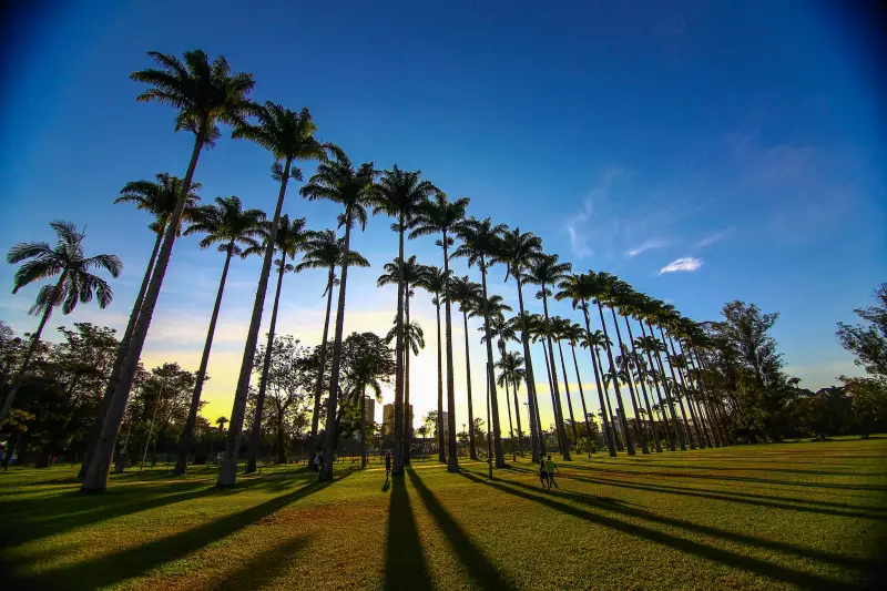 Parque da Cidade de São José dos Campos pode ser concedido à iniciativa privada: entenda o projeto