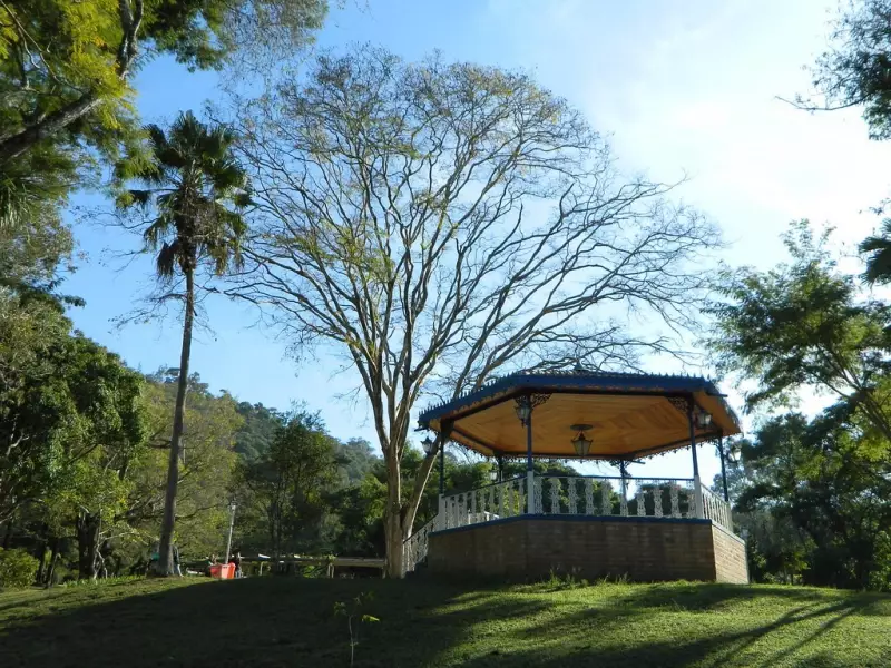Parque da Lajinha: O Refúgio Verde de Juiz de Fora Onde Lazer e Educação Ambiental se Encontram