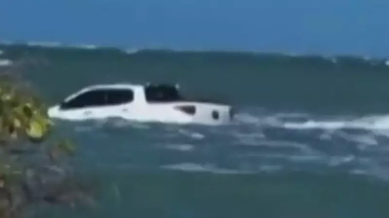 Pesquisadores Ficam Ilhados por 6 Horas em Ilha Remota Após Maré Subir Inesperadamente