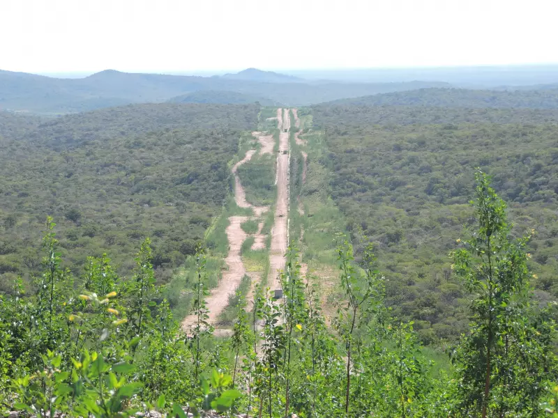 Petrolina em Destaque: Pesquisa Revela Cenário Nacional de Espécies Invasoras no Brasil