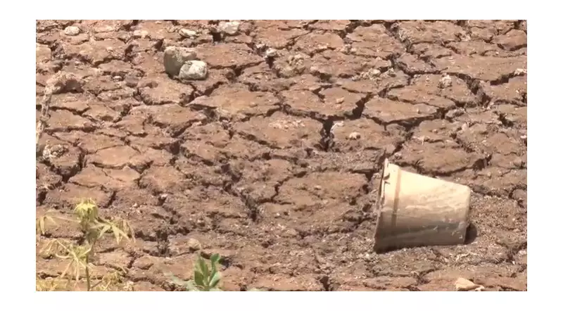 Piauí em Alerta: Previsão de Chuvas Intensas de Novembro a Janeiro Pode Causar Inundações