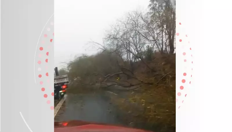 Piracicaba na Gangorra Térmica: Do Frio Histórico ao Calorão em 24 Horas