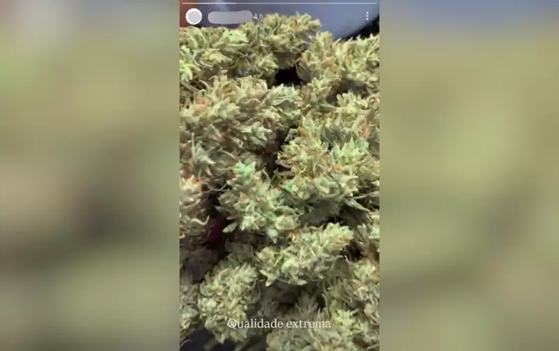 Policia desmantela esquema de venda de drogas via redes sociais no interior de São Paulo