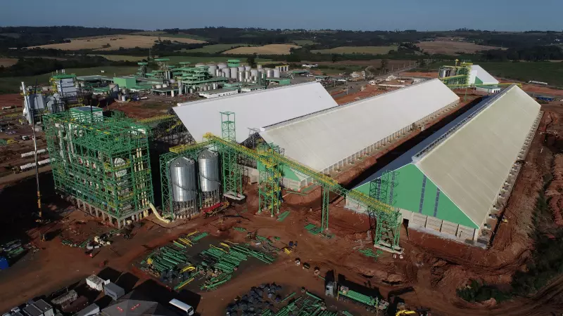 Potencial Group Investe R$ 700 Milhões em Soja: Megaoperação Alimenta Esmagadora no Paraná