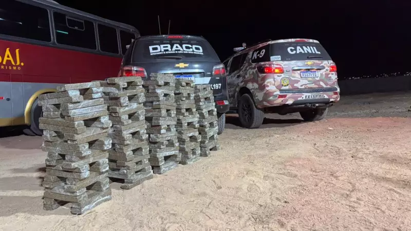 PRF apreende 500 kg de maconha superpotente em ônibus no Piauí | Droga era transportada em mala térmica