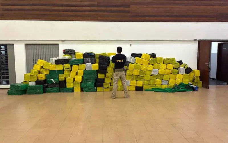 PRF apreende 5,4 toneladas de maconha em Sul de Minas: maior carga do ano na região