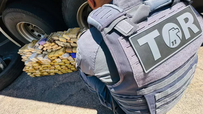 PRF prende motorista com 181 kg de maconha escondidos em carreta na Raposo Tavares