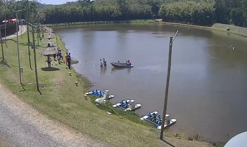 Queda de Helicóptero em São Roque: Vídeo Exclusivo Mostra Resgate Imediato Após Acidente Aéreo