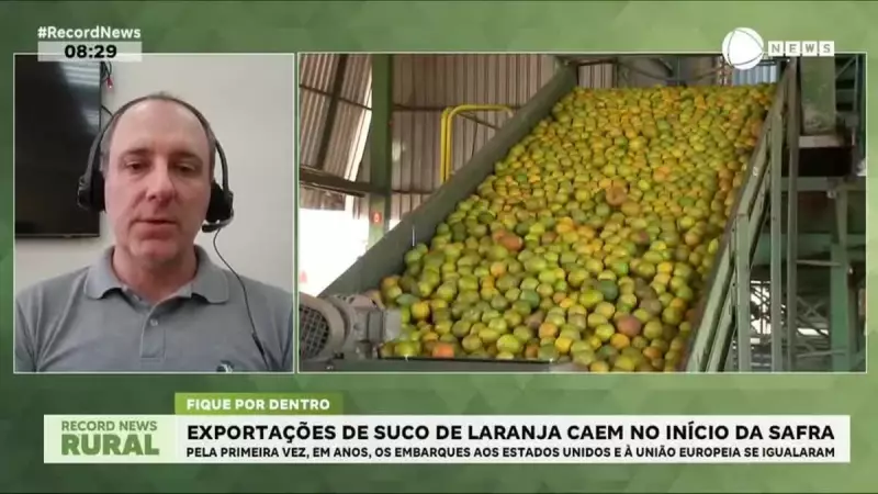 Queda nas Exportações de Suco de Laranja Abala Início da Safra Brasileira