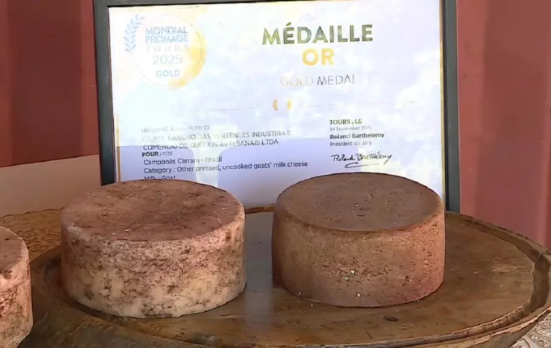Queijo Mineiro com Açaí e Beterraba Conquista Ouro no Oscar dos Laticínios na França