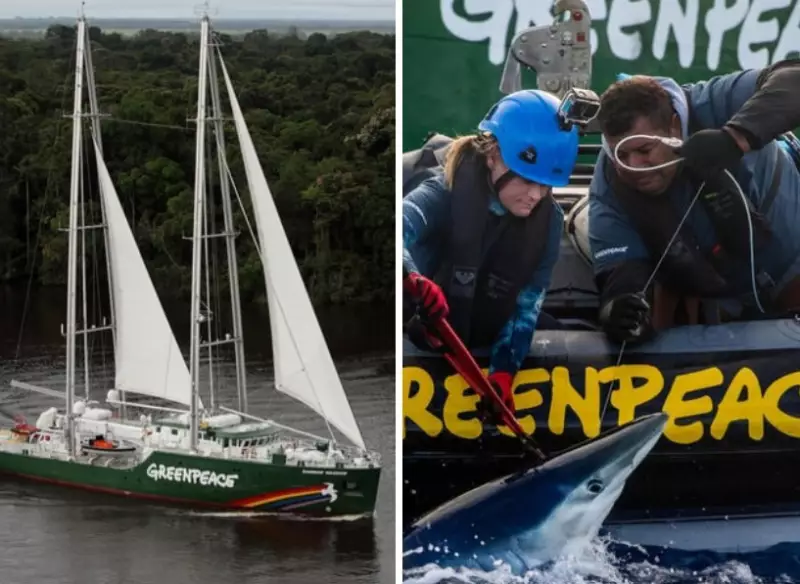 Rainbow Warrior no Pará: Greenpeace desembarca na COP30 com navio histórico