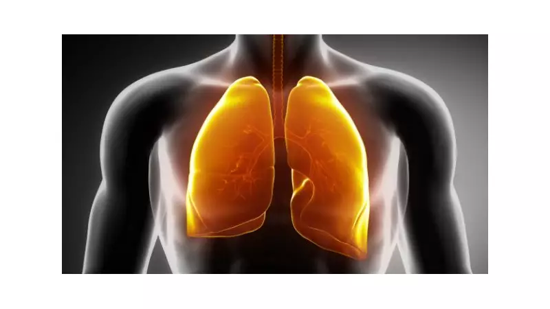 Respiração Perfeita: Descubra os Alimentos que São Aliados dos Seus Pulmões