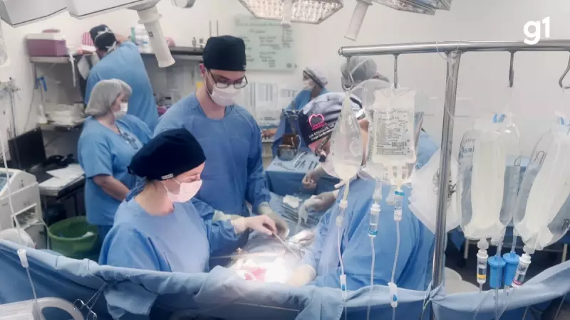 Revolução Brasileira na Medicina: Nova Tecnologia Dobra Tempo de Conservação de Órgãos e Pode Salvar Milhares de Vidas