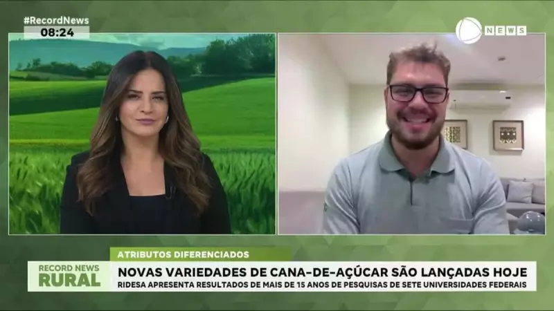 Revolução no Campo: Novas Variedades de Cana-de-Açúcar Prometem Aumentar Produtividade no Brasil