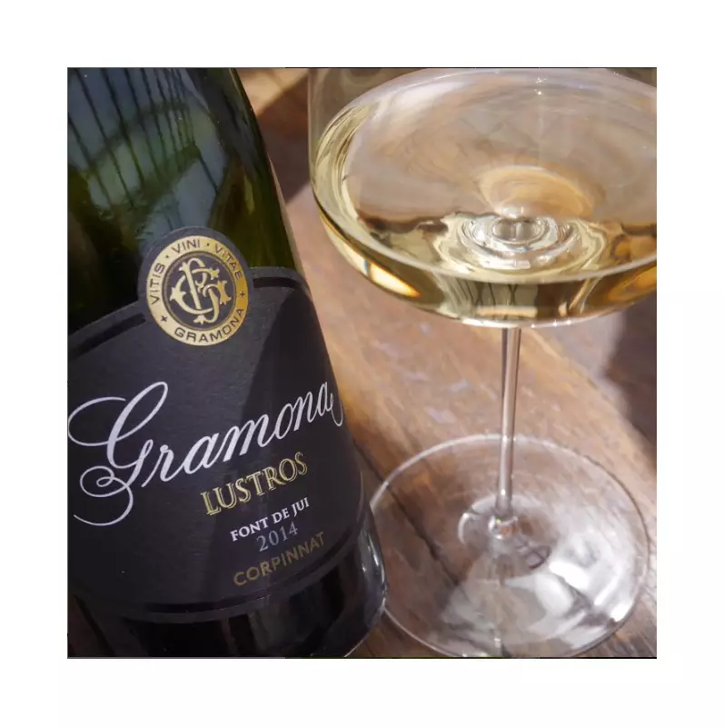 Revolução no Espumante: Como o Champanhe Francês Está Transformando os Vinhos da Espanha