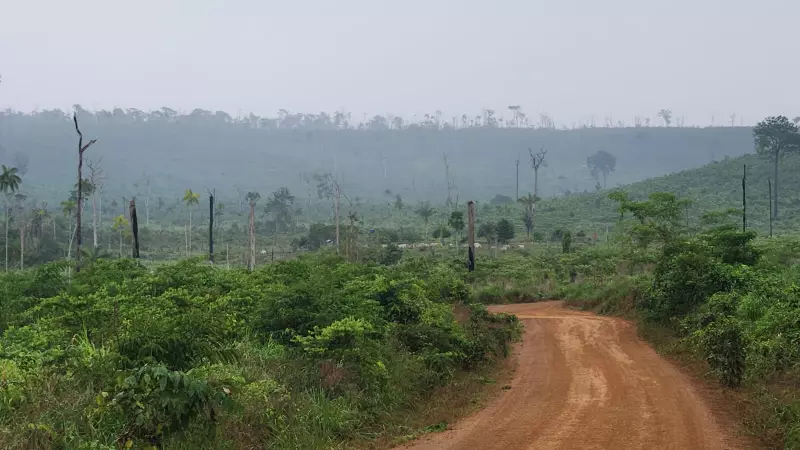 Rondônia em Chamas: O Front Mais Crítico da Destruição da Amazônia