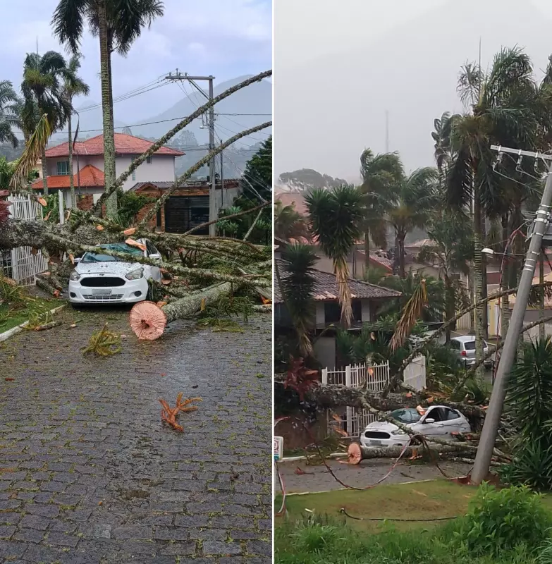 Árvores em Risco: Praça Getúlio Vargas Tem Acesso Interditado em Nova Friburgo