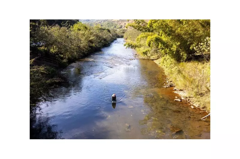 Samarco acelera reparação ambiental no Rio Doce: novo acordo impulsiona avanços em MG e ES