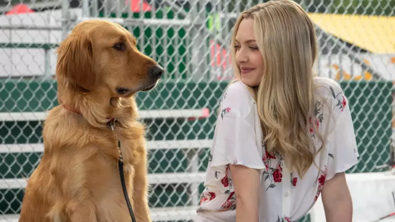 Sessão Pipoca Canina: Descubra os Melhores Filmes para Assistir com seu Pet