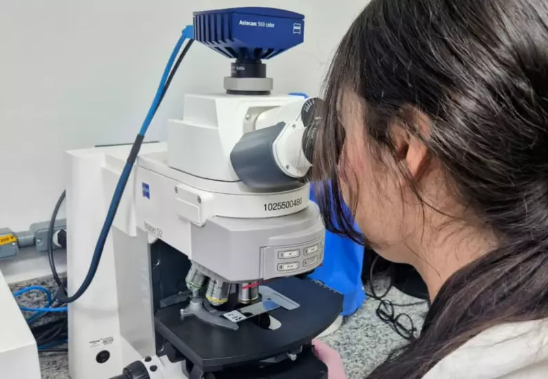 Solidão que dói: Estudo revela como isolamento social aumenta dor crônica em mulheres