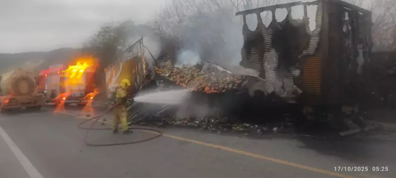 Superaquecimento dos freios é a possível causa de incêndio que destruiu carreta na BR-251 em MG